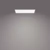 Lampa sufitowa Philips Functional Panel 36 W LED prostokątna 300×1200×42 mm, biała