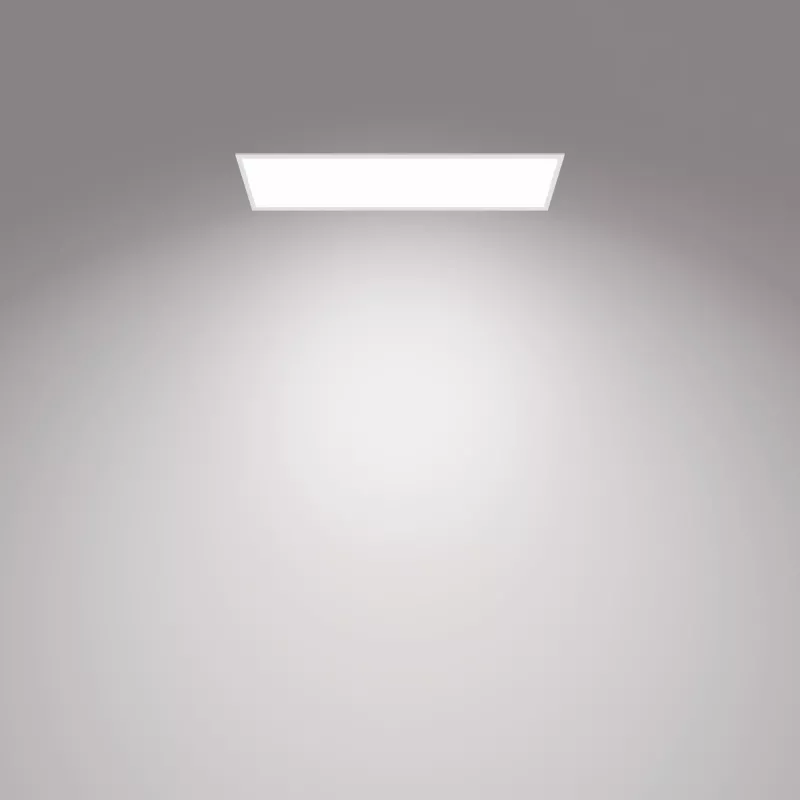 Lampa sufitowa Philips Functional Panel 36 W LED prostokątna 300×1200×42 mm, biała
