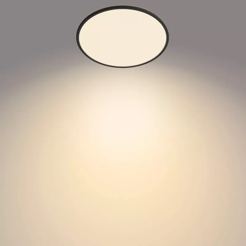 Lampa sufitowa Philips Functional Super cienki 22 W Czarna LED Okrągła