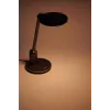 Lampa biurkowa Philips Functional Einstein