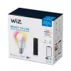 WiZ Bulb 8W (Eq.60W) A60 E27 x1 + Pilot, Inteligentna żarówka, Wi-Fi/Bluetooth, Biały, Wi-Fi 4 (802.11n), 802.11b, 802.11g, LED, E27