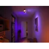 Philips Hue biały and colour ambience Centris 2-punktowa lampa sufitowa