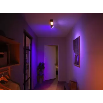 Philips Hue biały and colour ambience Centris 2-punktowa lampa sufitowa