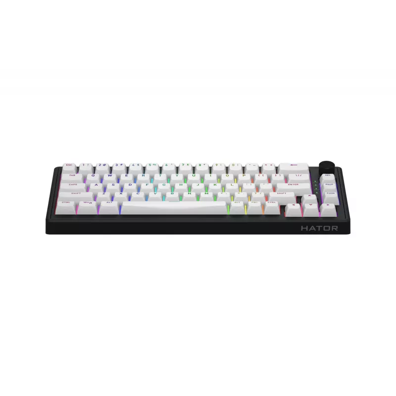 HATOR Skyfall Wireless 65 klawiatura Gaming USB + RF Wireless + Bluetooth QWERTY US English Czarny, Biały