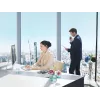Philips DPM6700/03 system transkrypcji/tłumaczenia, jednostka sterująca nożna