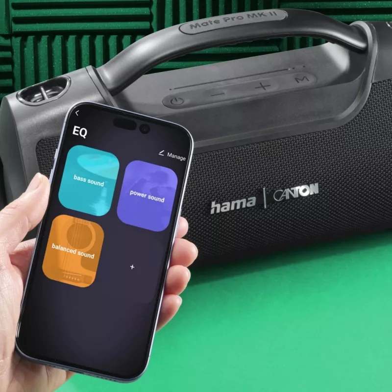 Hama Mate Pro MK II Głośnik przenośny stereo Czarny 60 W