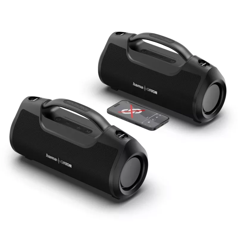 Hama Mate Pro MK II Głośnik przenośny stereo Czarny 60 W