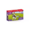 figurka zabawkowa Schleich HORSE CLUB 42518