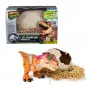 Jurassic World Primal Hatch Interaktywny Zabawkowy Dinozaur i Jajo, Wykluj i Wytrenuj Własne Małe Dino z Ponad 100 Dźwiękami i Reakcjami, Zabawki dla Chłopców i Dziewczynek od 5 Lat