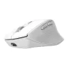 Bezprzewodowa mysz biurowa dla praworęcznych TRUST Niven — RF + Bluetooth, 3200 DPI, 7 przycisków, kółko, biała