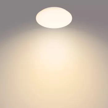Philips Functional Moire Lampka sufitowa 10 W, LED, Niewymienne żarówki, 2700 K, 1000 lm, IP20, Biała
