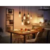 Inteligentna żarówka Philips 1 szt. ST72 E27 Filament Edison Bluetooth Zigbee
