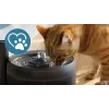 Automatyczna fontanna dla zwierząt Philips 3000 Series PAW3210/02, 2,2 L, USB/AC, czarna, plastikowa