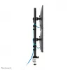 Neomounts DS60-600BL2V Podwójne ramię do monitora 10-32 cale, Zacisk/Przepust, 9 kg, 25.4 cm (10 cali), 81.3 cm (32 cale), 100 x 100 mm, Czarny