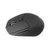Conceptronic LORCAN02B Ergo mysz Biurowa Praworęczna Bluetooth Optyczna 1600 DPI