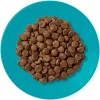 APPLAWS Adult Ocean fish z łososiem - sucha karma dla kota - 1,8kg