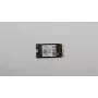 256GB M.2 2242 PCIe 4.0 NVMe SSD