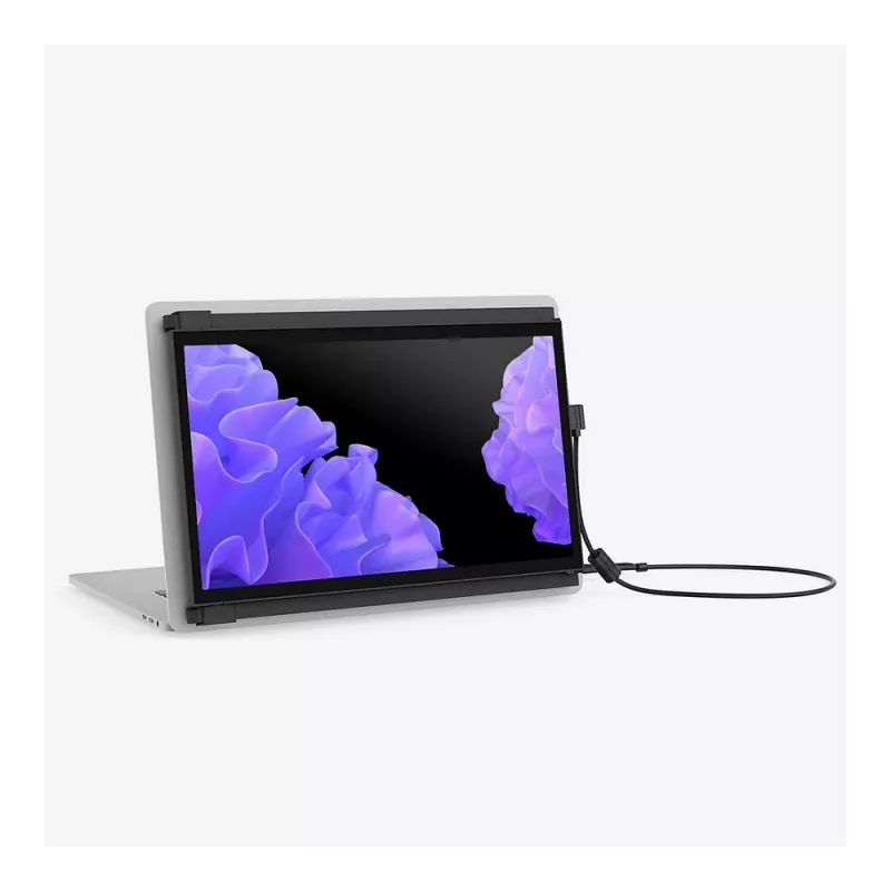 Wyświetlacz Mobile Pixels 101-1006P04