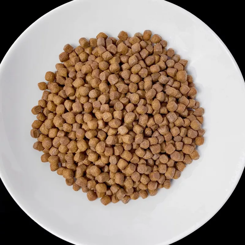 VET RESPONSE Renal - sucha karma dla psów - 1,6kg