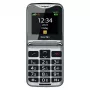 Beafon Fold10LTE_EU003B Silver