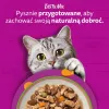 Mokra karma dla kota Whiskas Tasty Mix wybór szefa kuchni w sosie 40 × 85 g saszetek