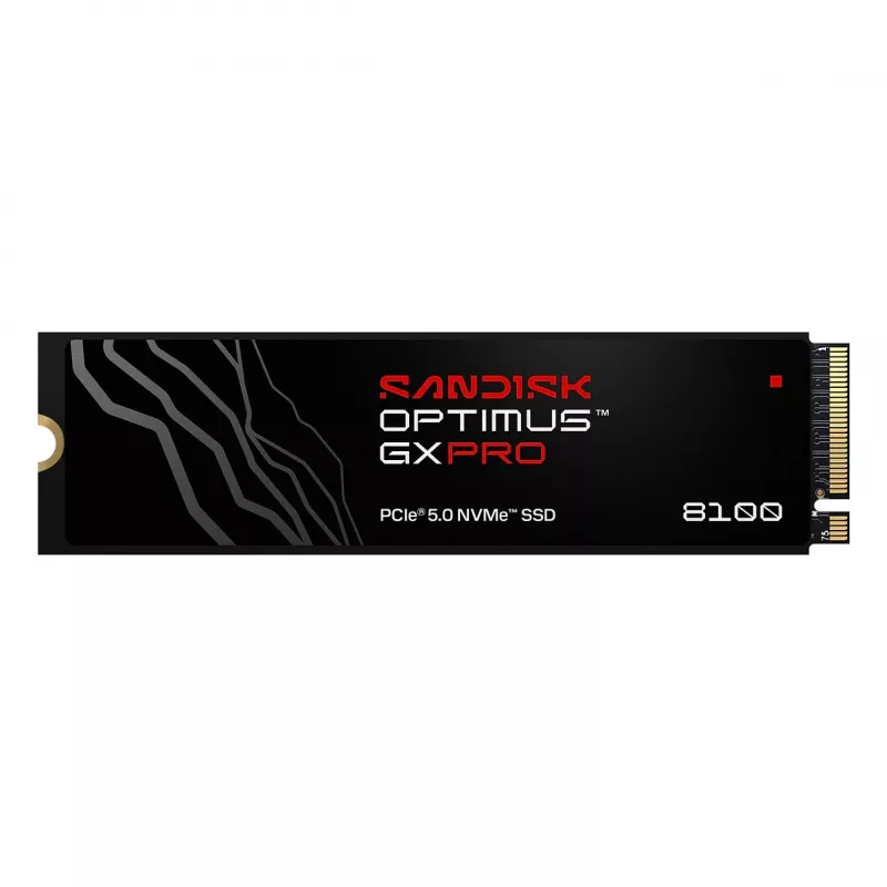 SanDisk Optimus GX PRO 8100