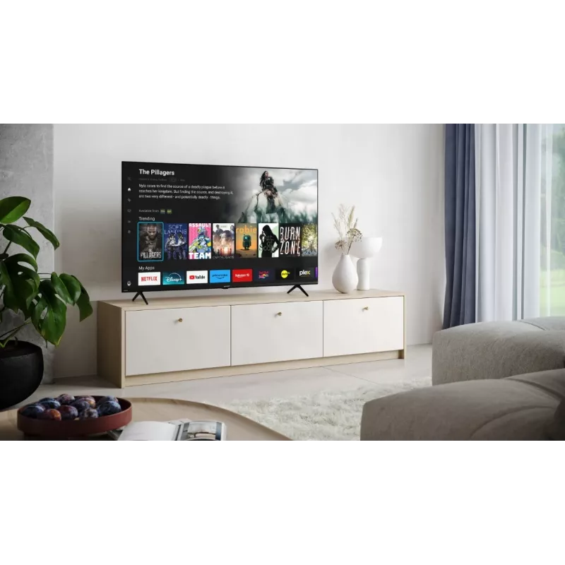 Telewizor LED 55'' 55GK4245E