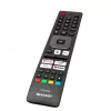 Telewizor LED 55'' 55GK4245E