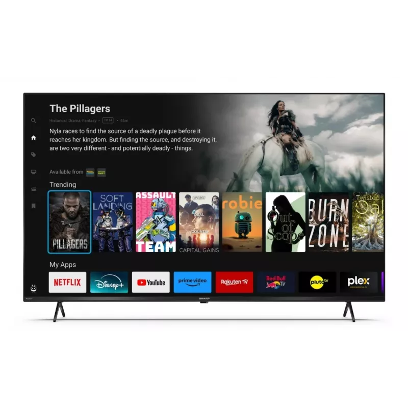 Telewizor LED 55'' 55GK4245E