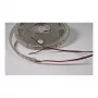 Taśma LED Synergy 21 Flex Strip 3528 - 120 NW DC12V 48W IP68