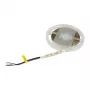 Synergy 21 LED Flex Strip 5050 - 60 RGB DC24V + RGB-W one chip WW s-shape IP20