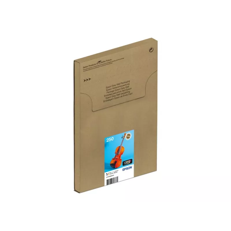 Wielopak wkładów atramentowych Epson 250 EasyMail 6-pak oryginalny – Czarny, Żółty, cyjan, magenta, Jasny cyjan, Jasny magenta (MPN C13T16N84510)