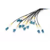 Digitus Pre-assembled Fiberglass Universal Breakout kabel Single Mode OS2 12 Fibers LC/UPC 100m