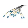 Digitus Pre-assembled Fiberglass Universal Breakout kabel Single Mode OS2 12 Fibers LC/UPC 100m