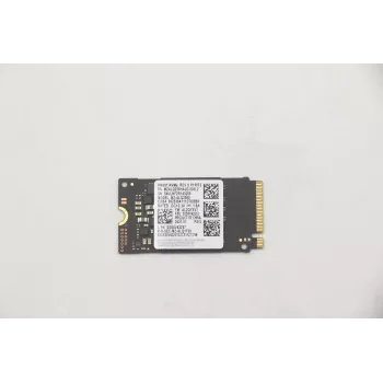 Lenovo 5SS0V42253 Wewnętrzny dysk SSD M.2 256 GB PCI Express (5SS0V42253)