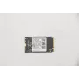 Lenovo 5SS0V42253 Wewnętrzny dysk SSD M.2 256 GB PCI Express (5SS0V42253)