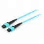 Equip Pro - Kabel krosowy - MTP Multimode (W) - MTP Multimode (W) - 15,0m - Światłowód - 50/125 mikrometrów - OM4 - akwamaryna (25555707)