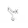 Uchwyt do monitora Arozzi AZ-ALZARE-NEO-WT biały 9kg VESA 75x75 100x100