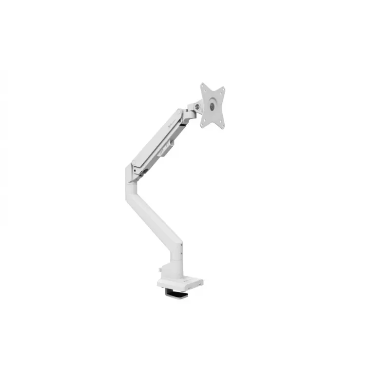 Uchwyt do monitora Arozzi AZ-ALZARE-NEO-WT biały 9kg VESA 75x75 100x100