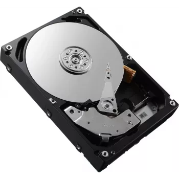 DELL W125827144 Wewnętrzny dysk twardy 2.5 300 GB SAS (W125827144)