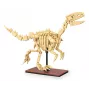 Zestaw konstrukcyjny Jamara CaDA Dinosaur fossil Velociraptor — 256 elementów, wiek 8+, beżowy/brązowy
