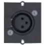 Bachmann - Modulares Faceplate-Snap-In - 3 PIN XLR - Czarny
