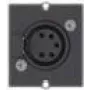 Bachmann Moduł niestandardowy 1 x gniazdo XLR - Modułowe panel przedni zatrzaskowy - XLR (5-pin) - Czarny (917.101)