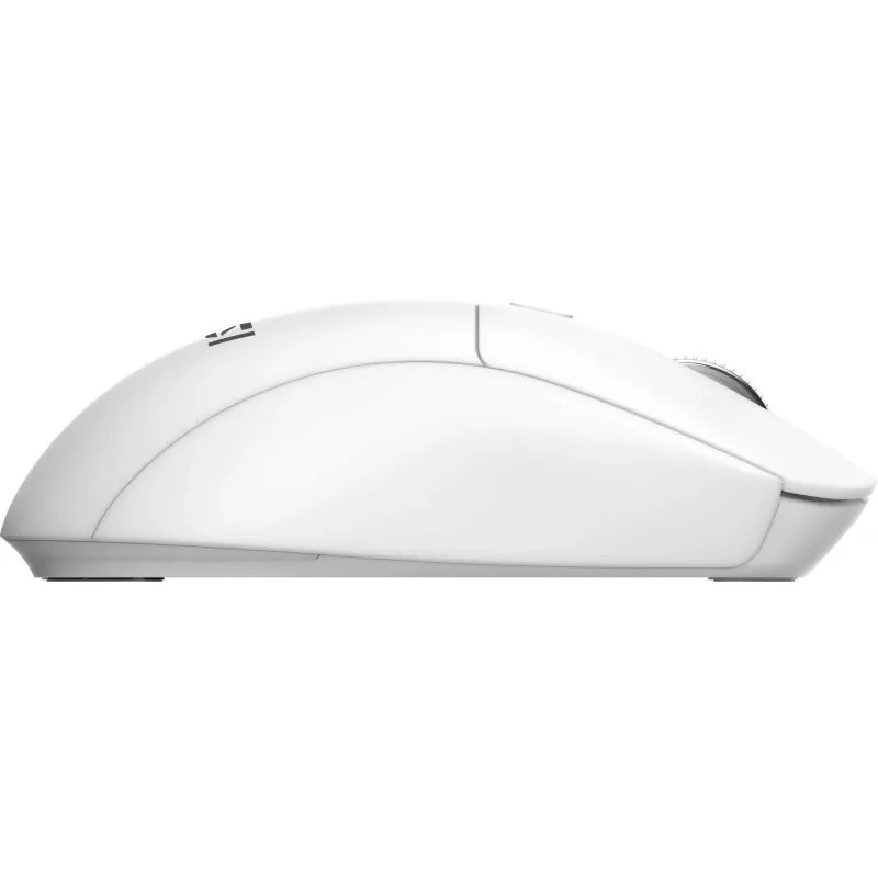 MSI FORGE K210 W COMBO biały US klawiatura mysz w zestawie Dom/Biuro USB QWERTY US English