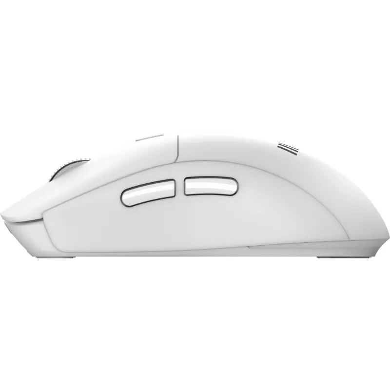 MSI FORGE K210 W COMBO biały US klawiatura mysz w zestawie Dom/Biuro USB QWERTY US English