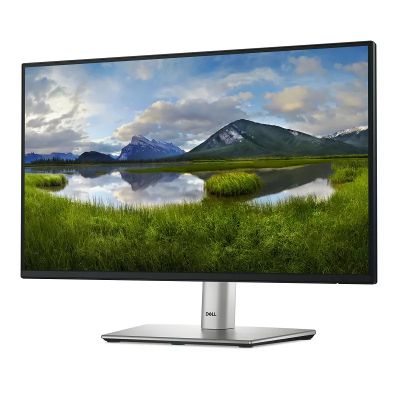 Monitor komputerowy DELL P Series P2225H 54,6 cm (21,5 cala) 1920 x 1080 pikseli Full HD LCD czarny, srebrny