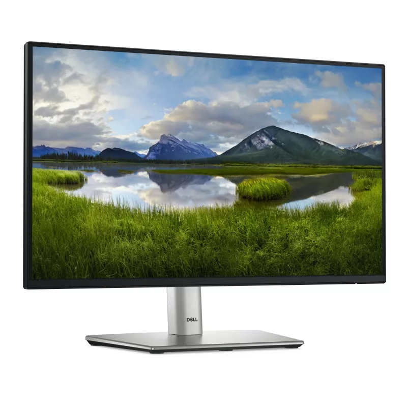 Monitor komputerowy DELL P Series P2225H 54,6 cm (21,5 cala) 1920 x 1080 pikseli Full HD LCD czarny, srebrny
