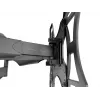 Uchwyt do montażu na ścianie MULTIBRACKETS M VESA Flexarm Full Motion Dual 400x400 do ekranów 40–70 cali, 45 kg, czarny