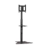 Uchwyt/mocowanie do monitora Chief PF1UB 190,5 cm (75 cali) Podłogowy Czarny