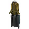 Thule EnRoute TEBP5216 - Nutria/Natural zielony plecak Plecak casualowy Zielony, Naturalny Nylon